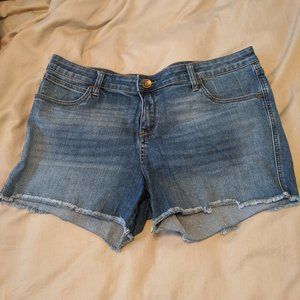 Kut from the Kloth Shorts 14